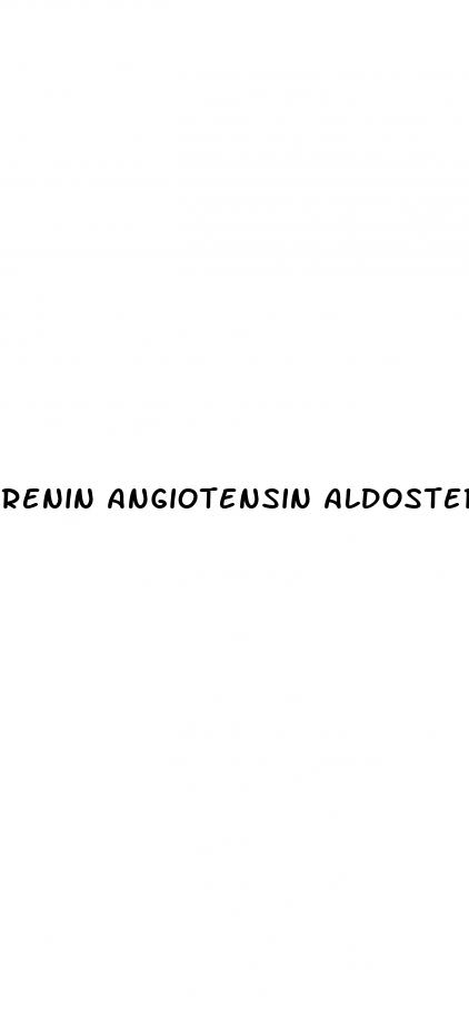 renin angiotensin aldosterone system and low blood pressure