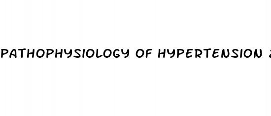 pathophysiology of hypertension 2023