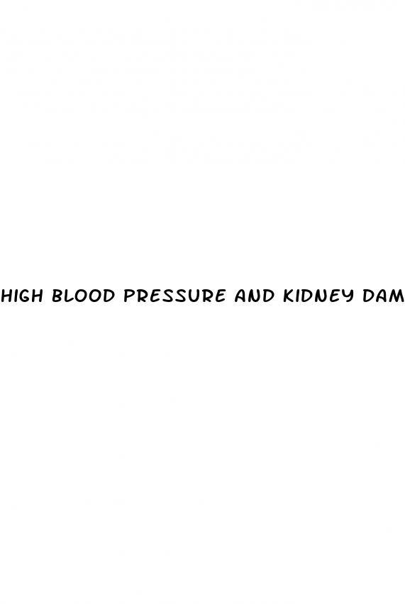 high blood pressure and kidney damage