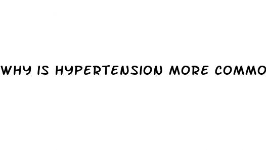 why is hypertension more common in black