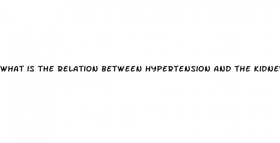 what is the relation between hypertension and the kidneys