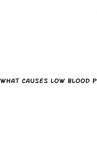 what causes low blood pressure in an elderly person