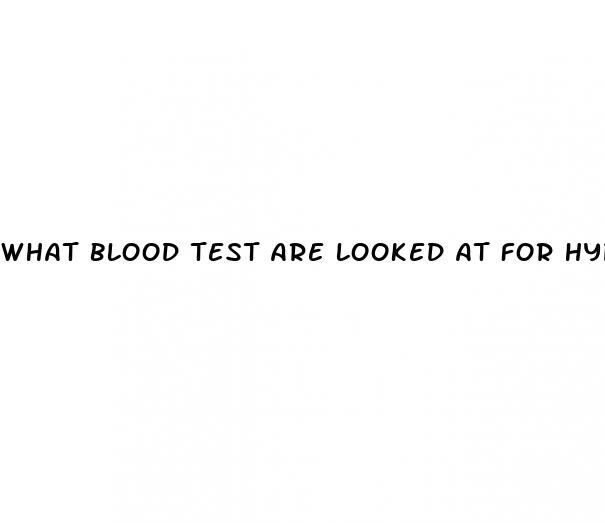 what blood test are looked at for hypertension