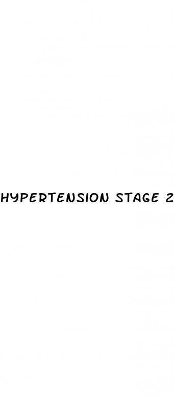 hypertension stage 2 remedies
