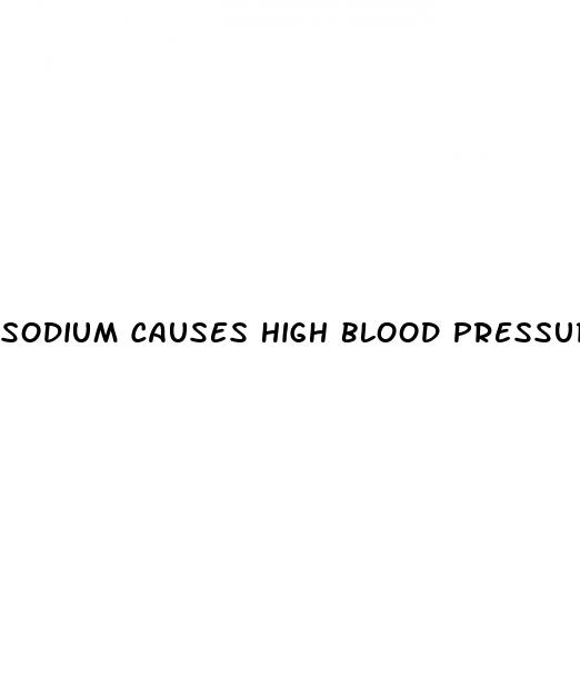 sodium causes high blood pressure
