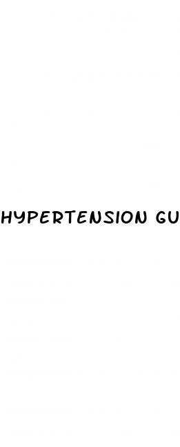 hypertension guideline 2023 pdf