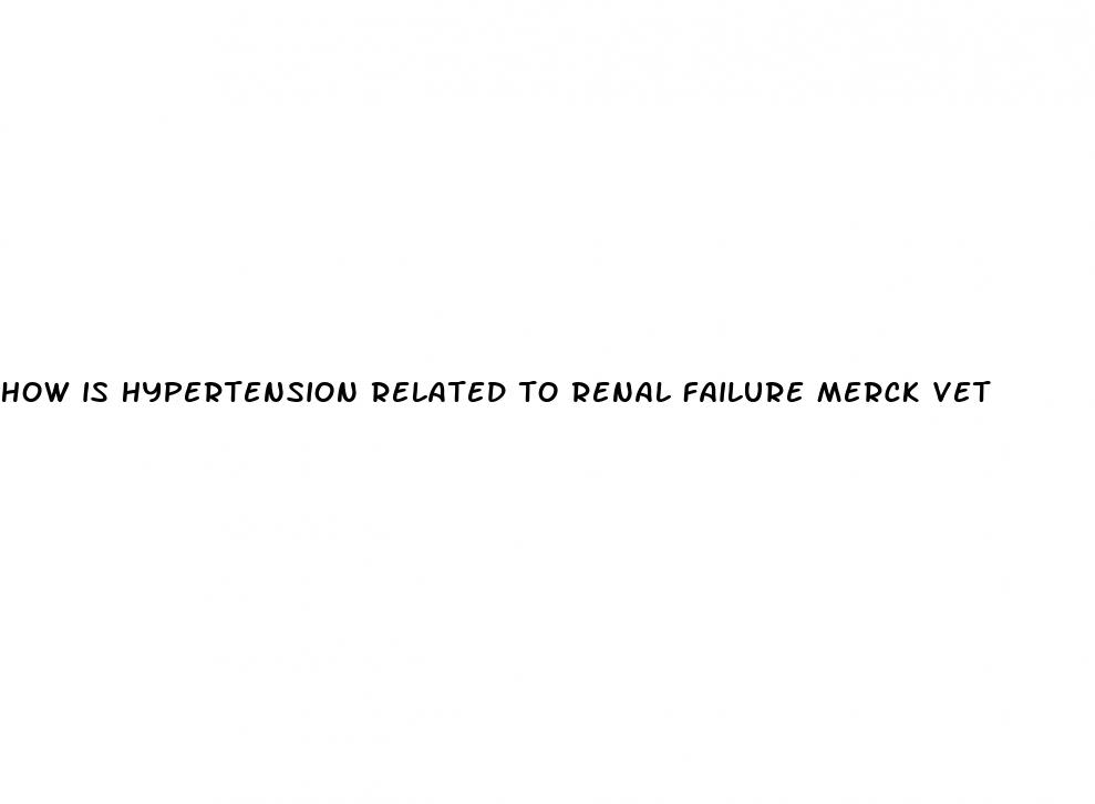how is hypertension related to renal failure merck vet