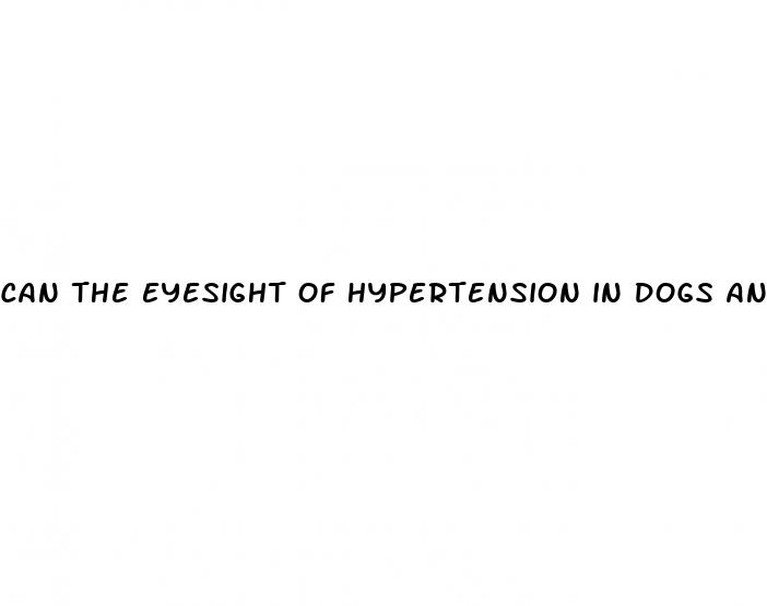 can the eyesight of hypertension in dogs and blindness