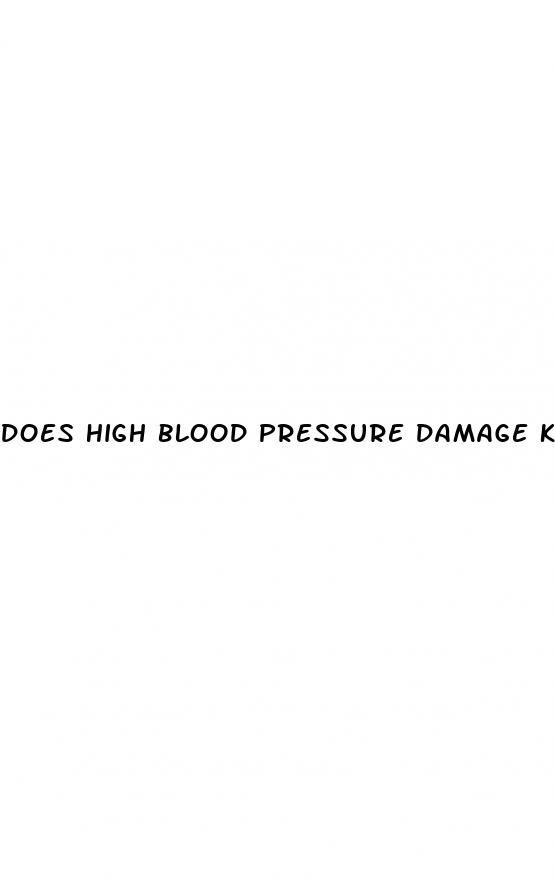 does high blood pressure damage kidneys