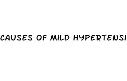 causes of mild hypertension