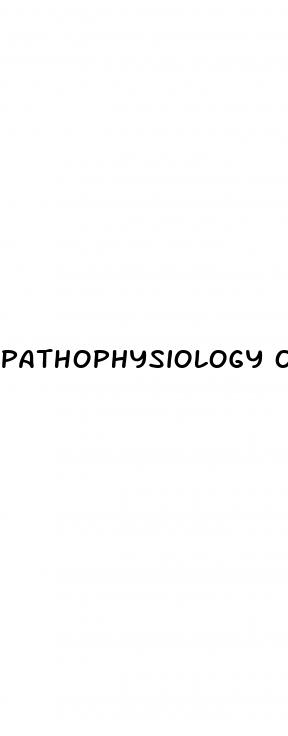 pathophysiology of hypertension powerpoint