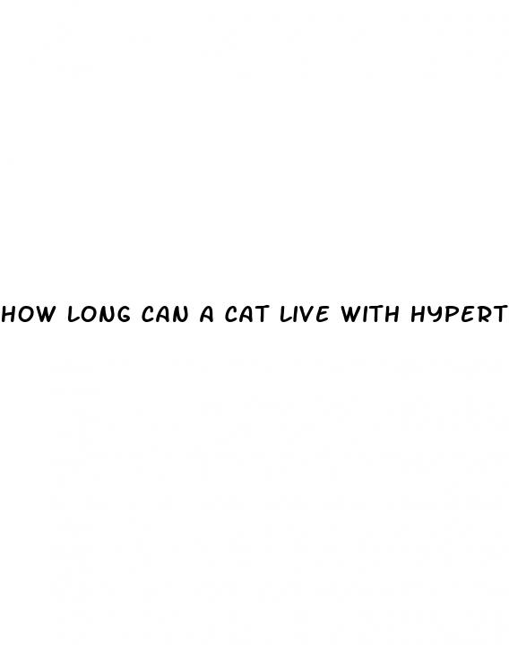 how long can a cat live with hypertension
