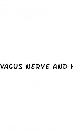 vagus nerve and hypertension