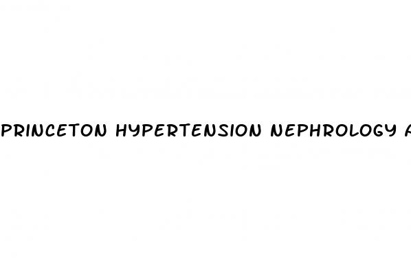 princeton hypertension nephrology associates llc