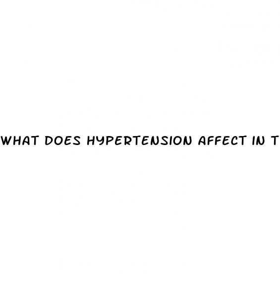 what does hypertension affect in the body