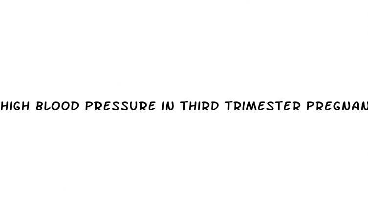 high blood pressure in third trimester pregnancy