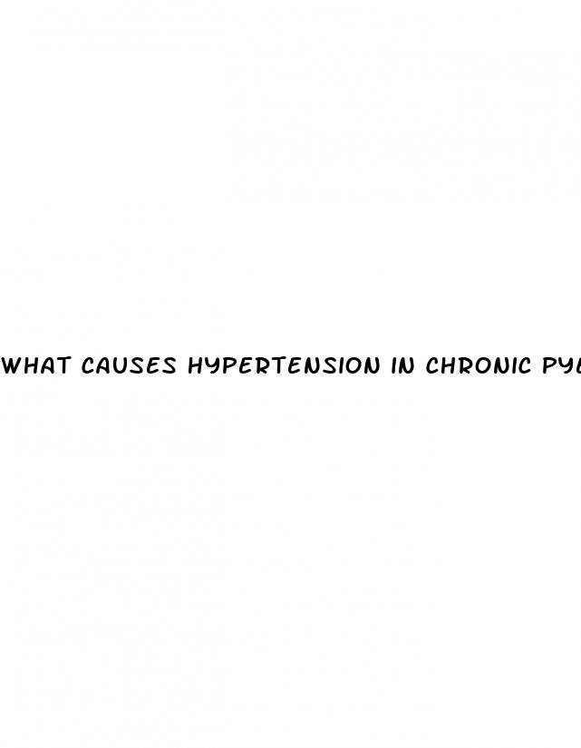 what causes hypertension in chronic pyelonephritis