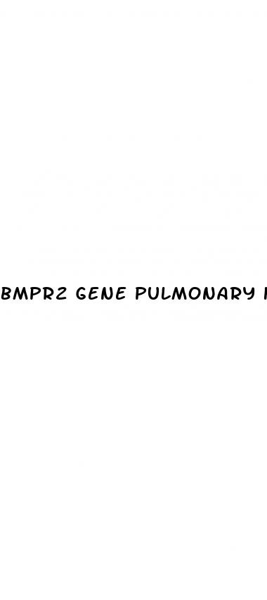 bmpr2 gene pulmonary hypertension