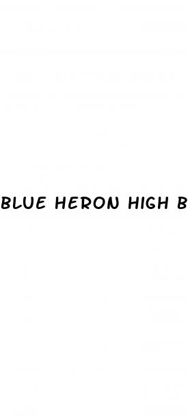 blue heron high blood pressure