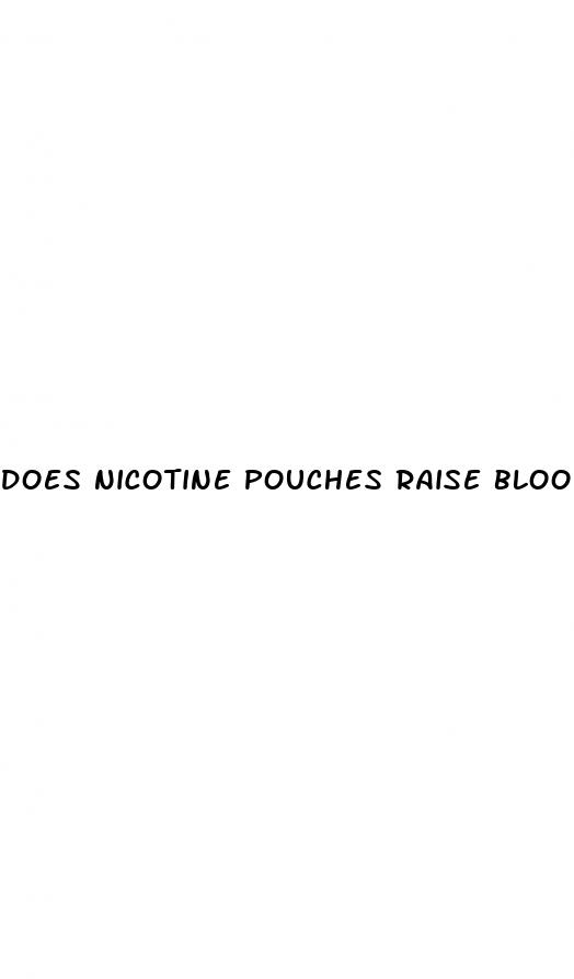 does nicotine pouches raise blood pressure