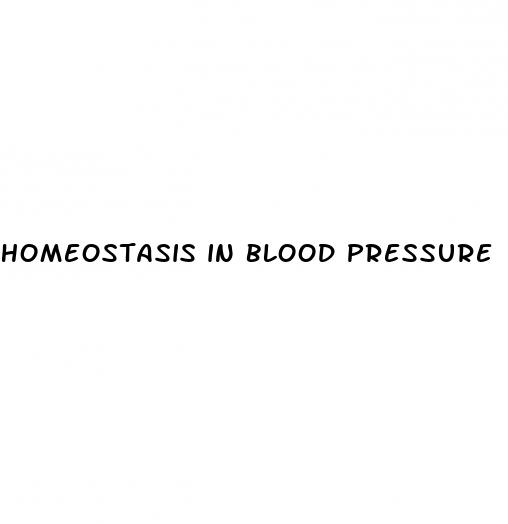 homeostasis in blood pressure