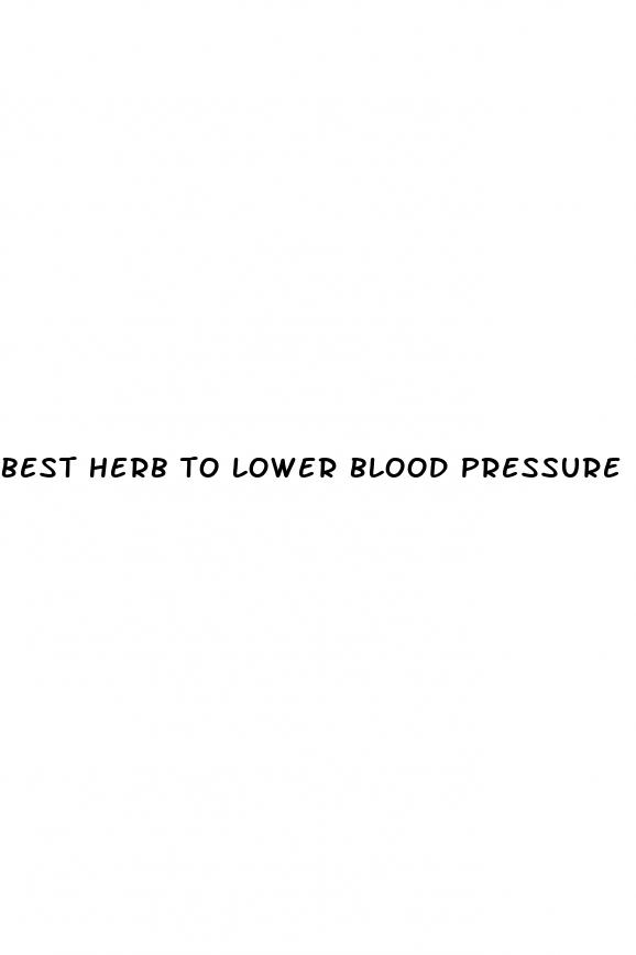 best herb to lower blood pressure
