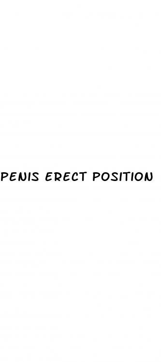 penis erect position