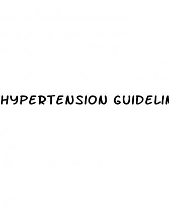 hypertension guidelines pdf