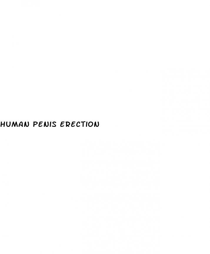 human penis erection