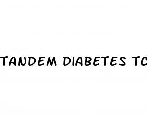 tandem diabetes tconnect