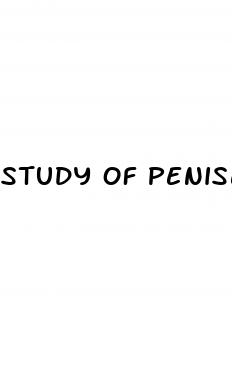 study of penises