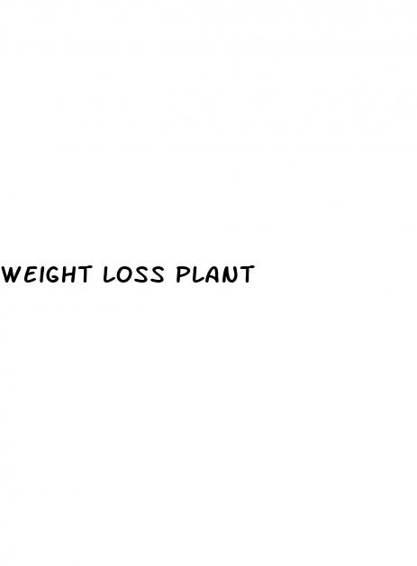 weight loss plant