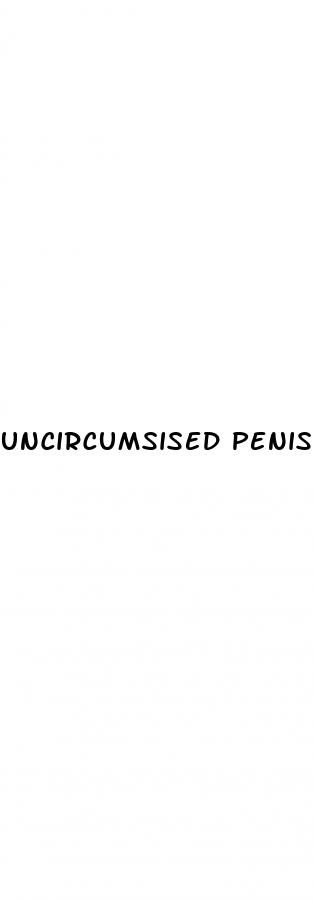 uncircumsised penis erect
