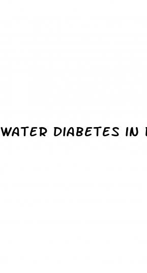 water diabetes in dogs