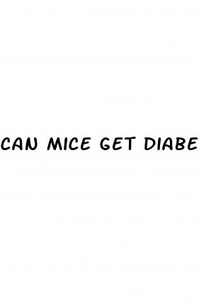 can mice get diabetes