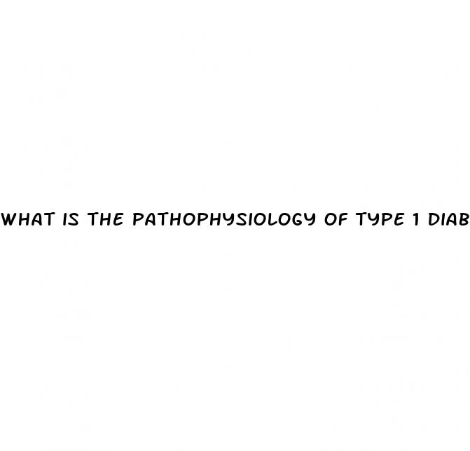 what is the pathophysiology of type 1 diabetes