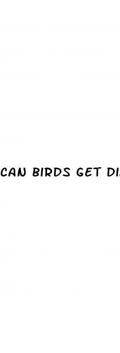 can birds get diabetes