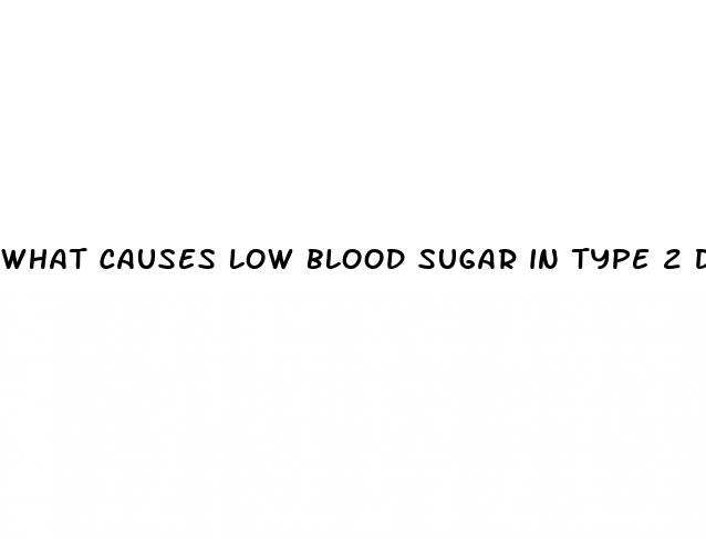 what causes low blood sugar in type 2 diabetes