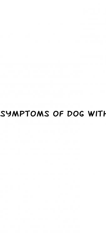 symptoms of dog with diabetes