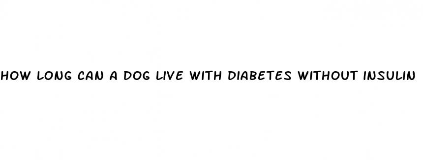 how long can a dog live with diabetes without insulin
