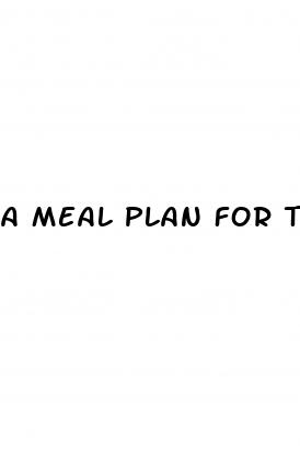 a meal plan for type 2 diabetes