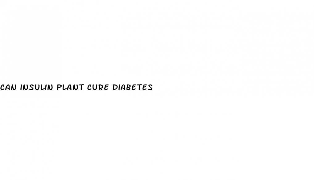 can insulin plant cure diabetes