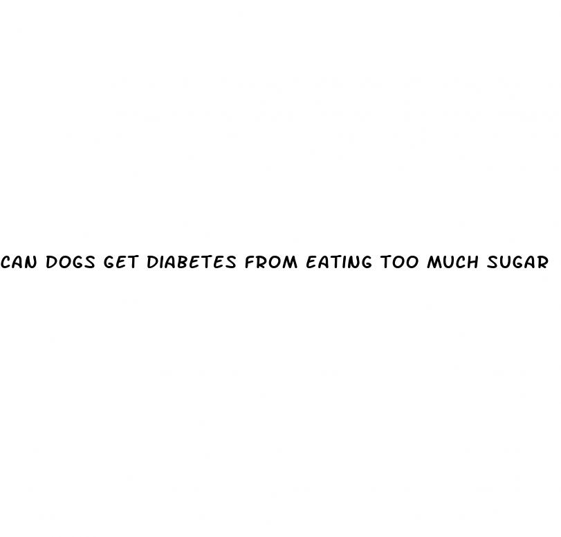 can dogs get diabetes from eating too much sugar