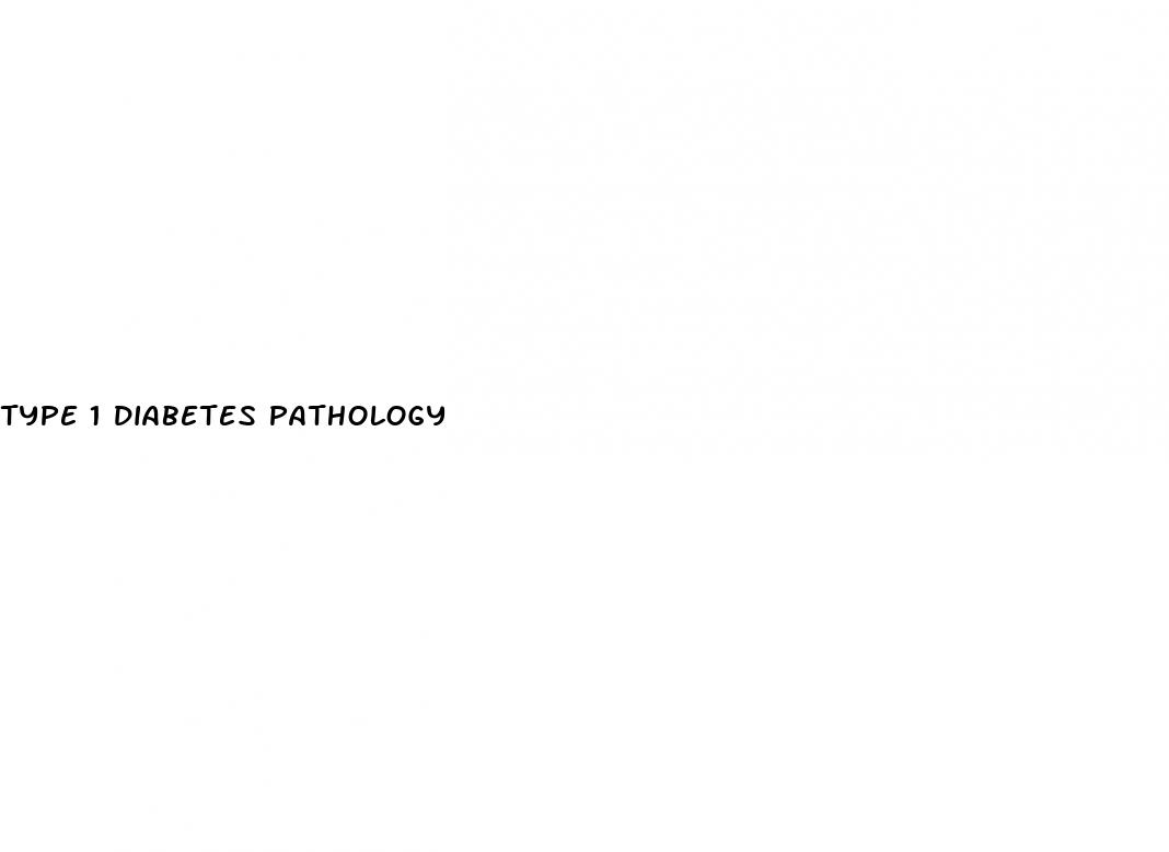 type 1 diabetes pathology