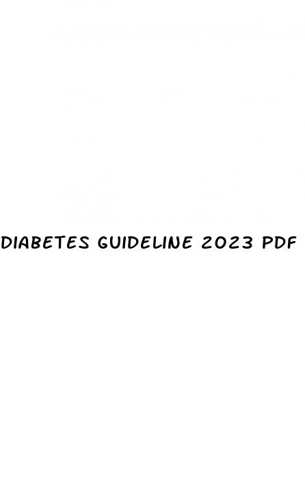 diabetes guideline 2023 pdf