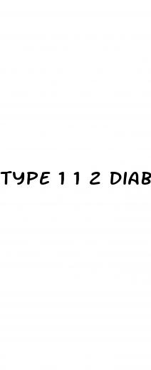 type 1 1 2 diabetes