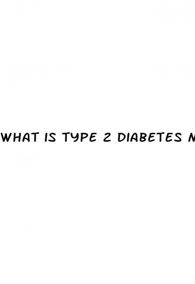 what is type 2 diabetes mean