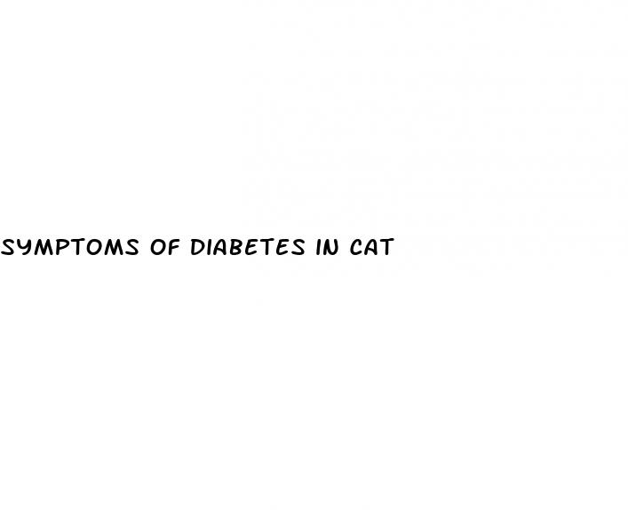 symptoms of diabetes in cat