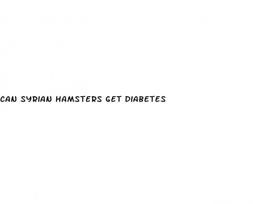 can syrian hamsters get diabetes