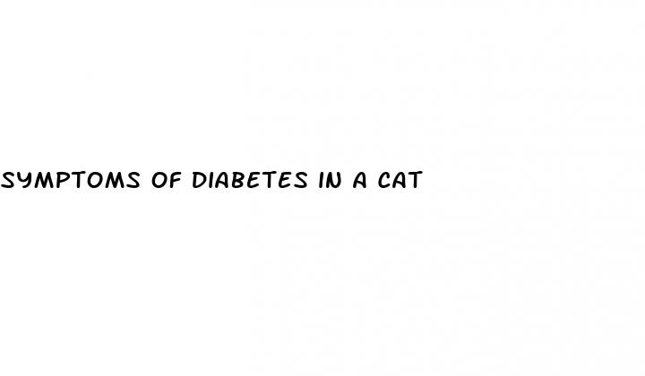 symptoms of diabetes in a cat